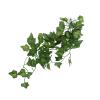 Brrnoo Simulation Green Vine view 1