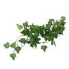 Brrnoo Simulation Green Vine view 3