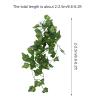 Brrnoo Simulation Green Vine view 4