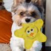 kinrguiyuez Fetch and Squeak Dog Toy view 3