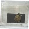VICASKY 2-Pack USB Heating Mats for Reptiles view 4