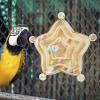 Bird Enrichment Spinner Toy view 2