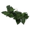 Brrnoo Simulation Green Vine view 3