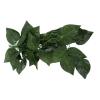 Brrnoo Simulation Green Vine view 4