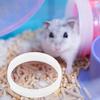 ERINGOGO 8-Piece Hamster Tunnel Connectors, White view 4