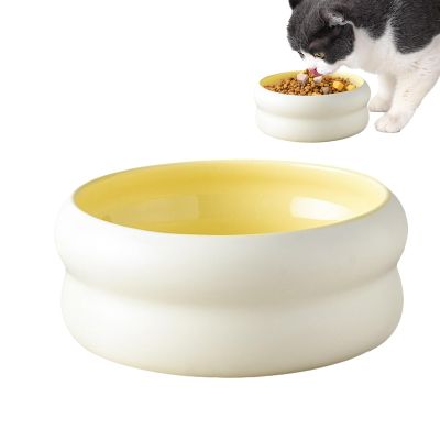 Ceramic Dog Food Bowl, Microwave-Safe Water Bowl