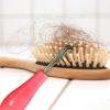 Hair Brush Cleaner, Dust, Dirt and Lint Remover view 3