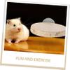 JOINPAYA Wooden Platform for Small Pets view 3