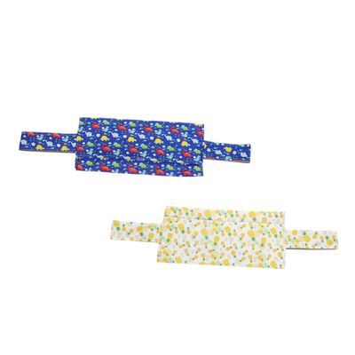 Lizard Carrier Bag for Travel, 2-Pack Canvas, Large Capacity