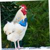 Toyvian Adjustable Pet Chicken Harness view 4
