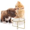 UPKOCH Glass Bowl for Cats and Dogs, Raised Slanted Design, Glass and Iron, Random Style view 3