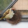 Handcrafted Bird Nest view 3