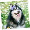 Milisten 8-Piece Dog Hair Clips view 4