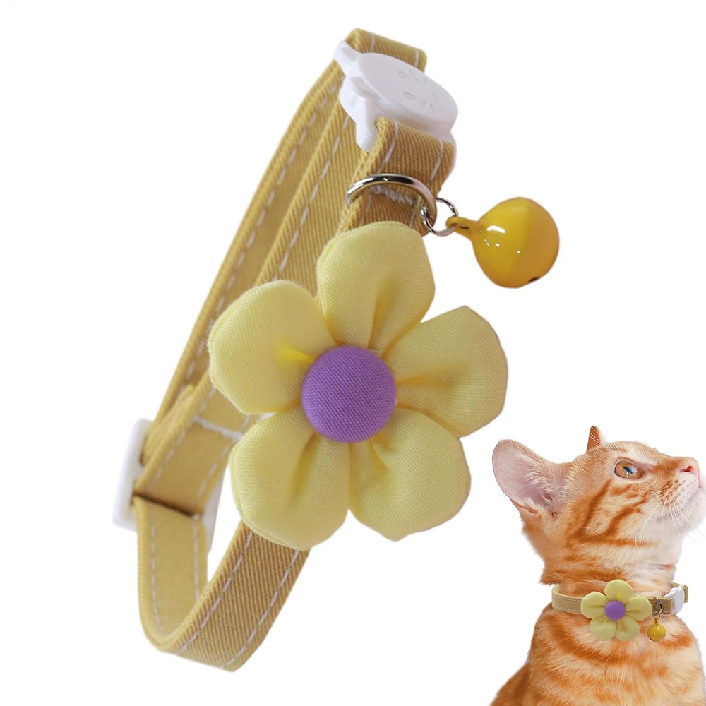 Cat Collar Flower