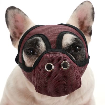 Dog Muzzle with Breathable Mesh for Short-Snouted Dogs