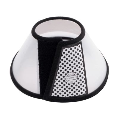 Soft Pet Recovery Collar for Surgery or Wound Healing