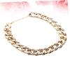 Garnet Fashionable Golden Metal Pet Necklace view 4