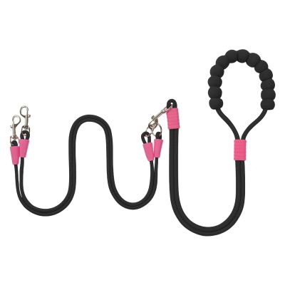 Double Dog Leash for Two Puppies