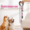 Double Dog Leash for Two Puppies view 2