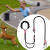 Double Dog Leash for Two Puppies view 3