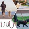 Double Dog Leash for Two Puppies view 4
