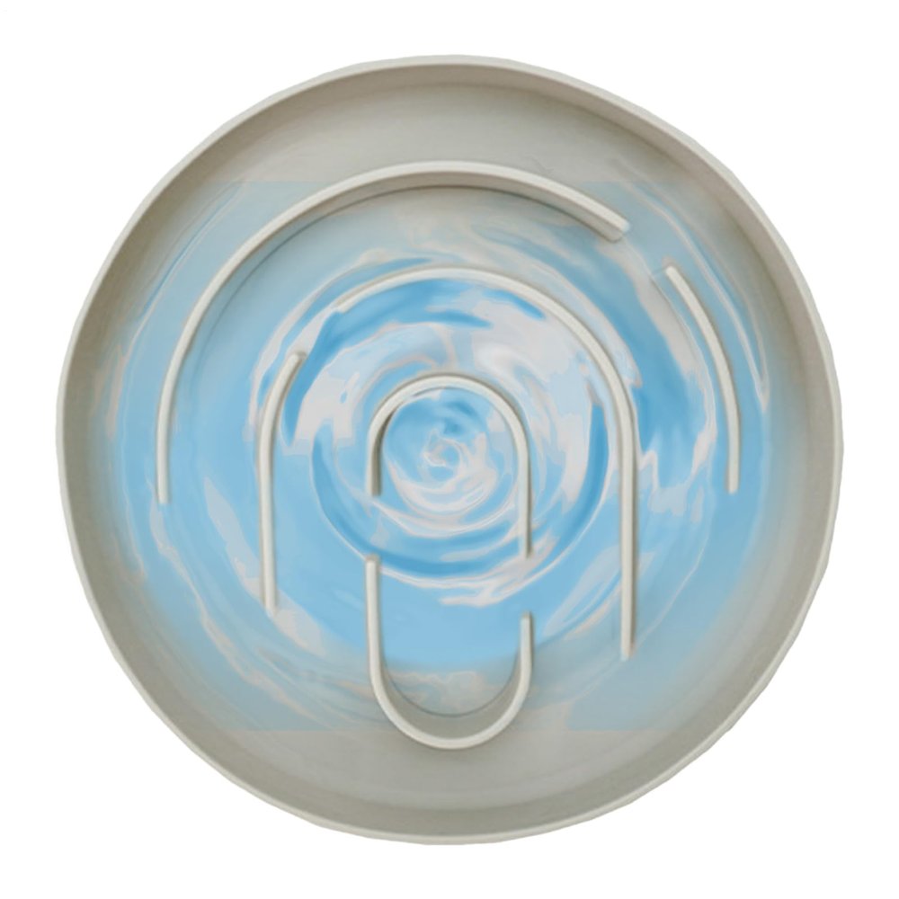 Slow Feeder Dog Bowl - Interactive Pet Food Dish