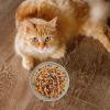 Slow Feeder Dog Bowl - Interactive Pet Food Dish view 4