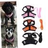 CIYODO Dog Vest with Adjustable Straps view 2