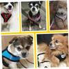 CIYODO Dog Vest with Adjustable Straps view 3