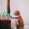 TOYANDONA Interactive Cat Snake Toy view 4