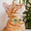 Kitten Collar with Flowers and Bell view 3