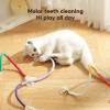 Cat Dental Cleaning Chew Stick Toy with Silver Vine view 2