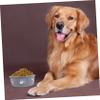 ERINGOGO Stainless Steel Pet Bowl with Non-Slip Base view 4