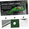 Toyvian Turtle Basking Platform with Reptile Ladder, Green PP, for Small Turtles and Frogs view 3