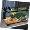 Toyvian Turtle Basking Platform with Reptile Ladder, Green PP, for Small Turtles and Frogs view 4