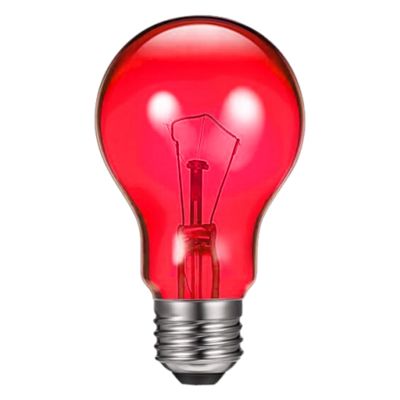 100W UVA Heat Lamp for Reptiles and Amphibians