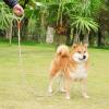 Reflective Dog Leash - Adjustable Heavy Training Rope with Padded Grip view 2