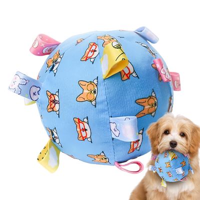 Fruusv Squeaky Dog Toy Ball