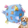 Fruusv Squeaky Dog Toy Ball view 1