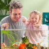 Fish Feeding Kit - Shrimp Feeder view 3