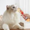 Cat Treat Spoon with Hanging Design view 3
