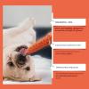 Tiajingzi Carrot Dog Toy view 4
