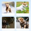 Dog Harness - Anti-Pull Harness for Pets with Leash view 3
