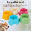 Elevated Dog Bowl for Long-Eared Dogs view 2