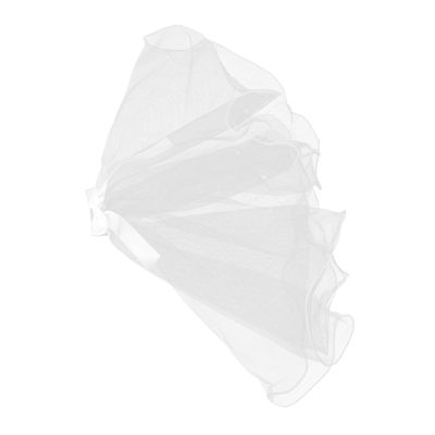 HAPINARY Dog Veil with Hair Clip for Bridal Looks