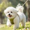 Dog Harness with Leash - Breathable Oxford Vest for Dogs view 2