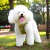 Adjustable Dog Harness with Leash Set view 3