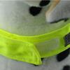 AMSLSIU Stylish and Safe High Visibility Dog Vest view 2