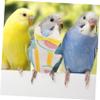 Generic Bird Diapers for Pets view 3