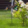 Outdoor Bird Waterer, Vintage Iron Water Bowl with view 2
